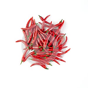 Rawit chilli peppers, other names: Cabe Rawit, Prik, Thai Chili, ChildÃ¢â¬â¢s Eye. photo